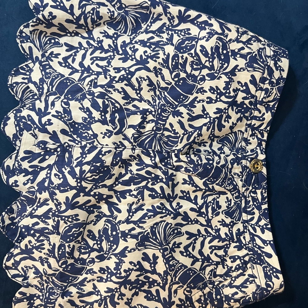 Skirt from Lilly Pulitzer great condition was worn couple times